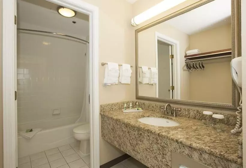 Standard-huone, Ivy Court Inn And Suites