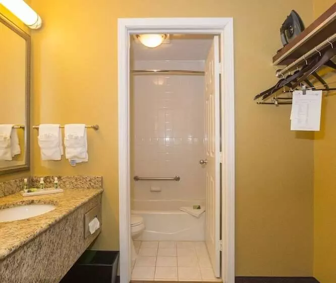 Standard-huone, Ivy Court Inn And Suites