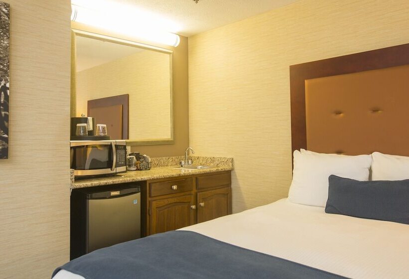 اتاق استاندارد, Ivy Court Inn And Suites