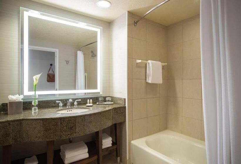 带2个双人床的标准工作室, Renaissance Dallas Richardson