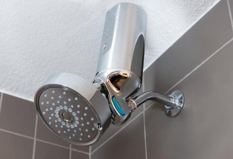 带大床的标准间, Renaissance Dallas Richardson