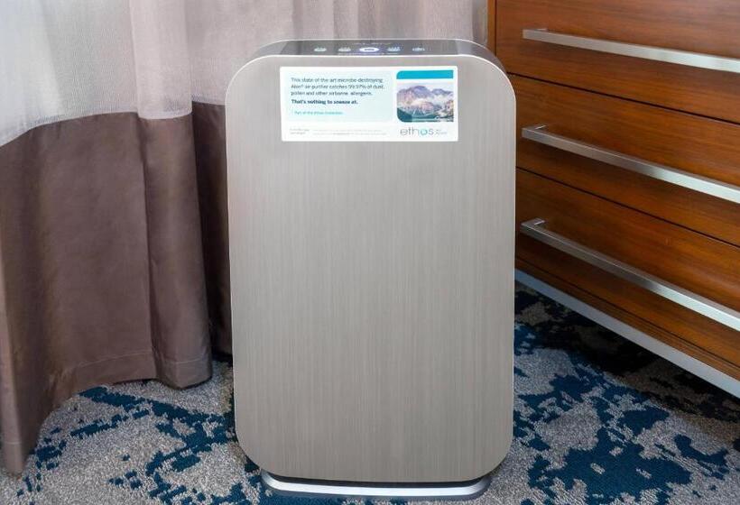 带大床的标准间, Renaissance Dallas Richardson