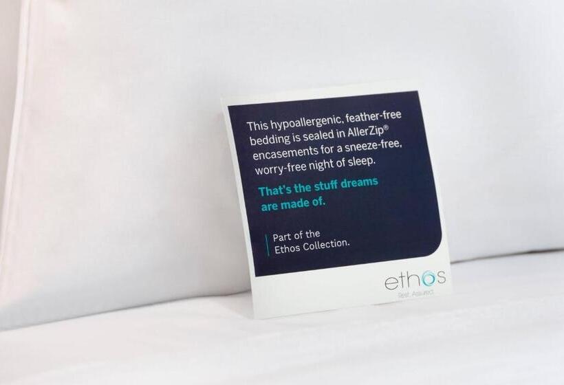 带2个双人床的标准工作室, Renaissance Dallas Richardson