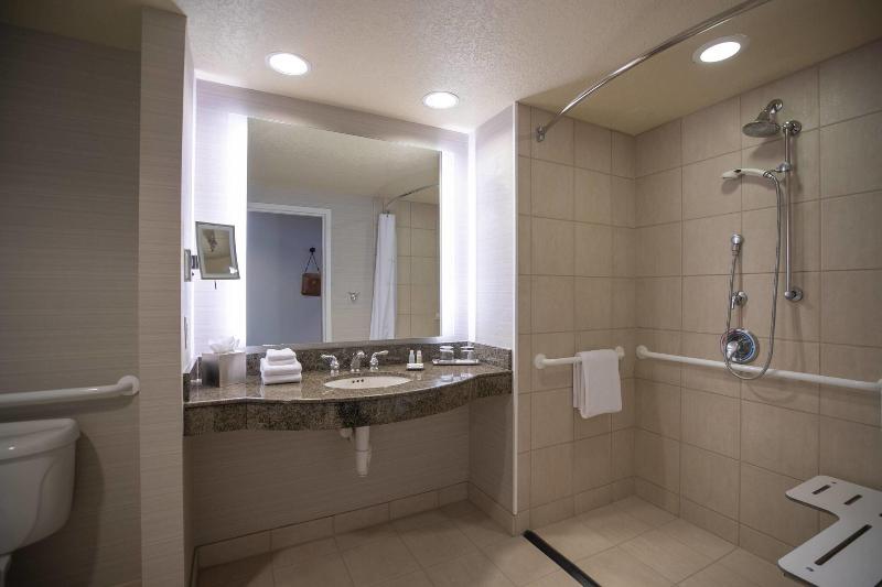 带大床的标准间, Renaissance Dallas Richardson