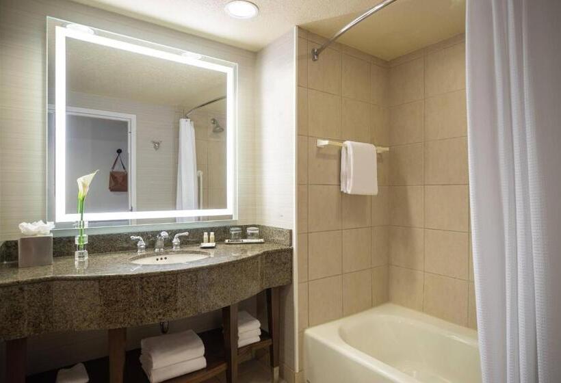 带大床的标准间, Renaissance Dallas Richardson