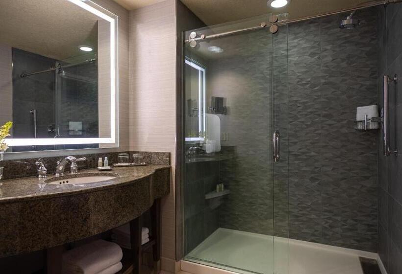 带双人大床的行政管理套房, Renaissance Dallas Richardson