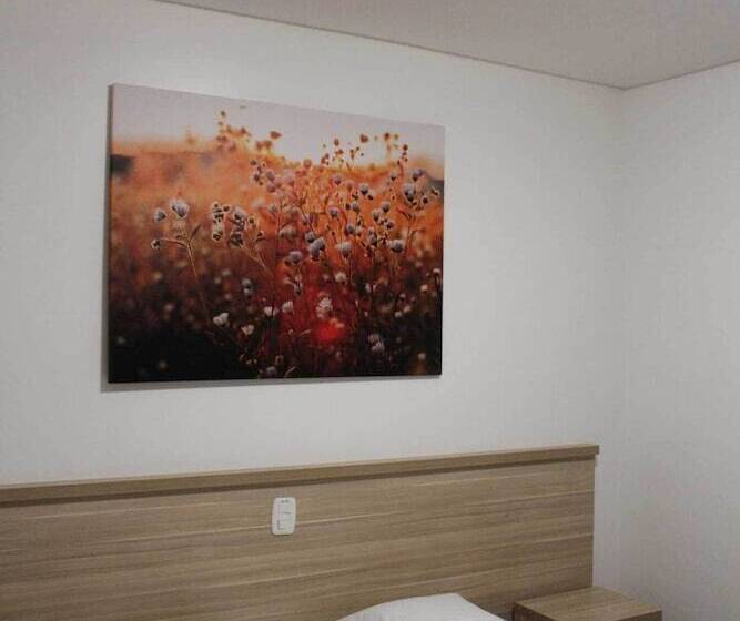 Номер Стандарт, San Lucas