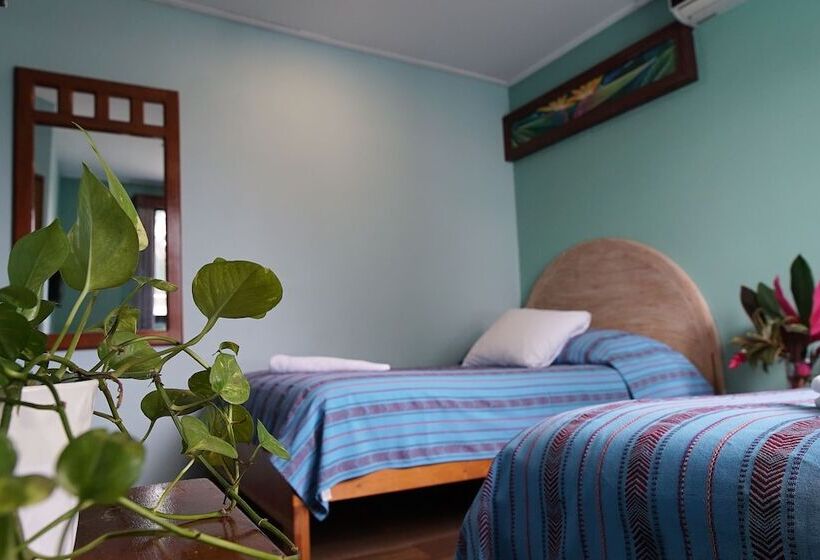 חדר דלוקס, Venus