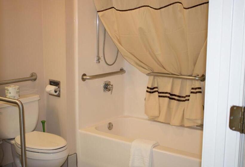 장애인을 위한 킹사이즈 침대 스탠다드 룸, Americas Best Value Inn Rome