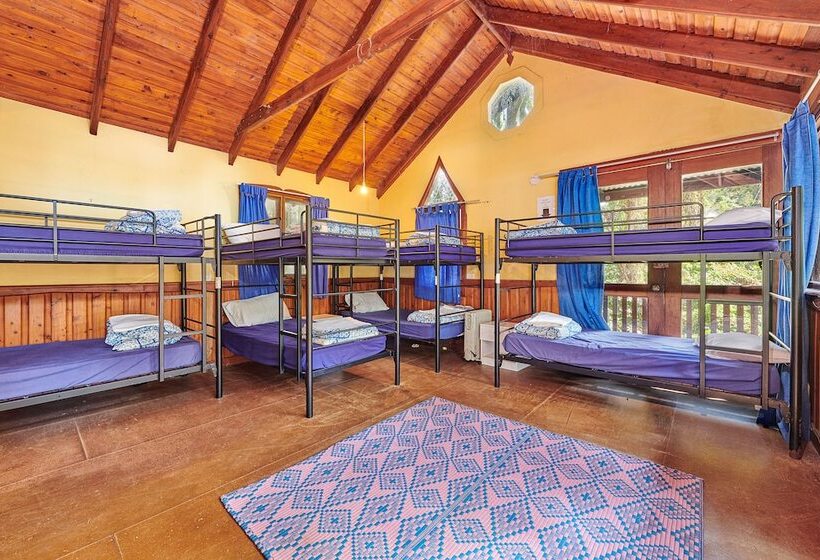 공동 객실, Arts Factory By Nomads