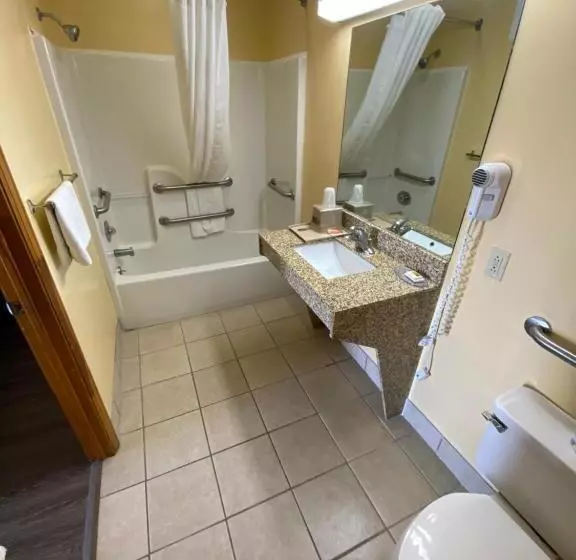 身障者適用キングサイズベッドルーム, Budget Host Inn   Baxley