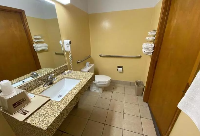 身障者適用キングサイズベッドルーム, Budget Host Inn   Baxley