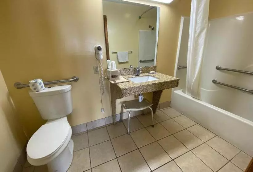 身障者適用スタンダードルーム, Budget Host Inn   Baxley