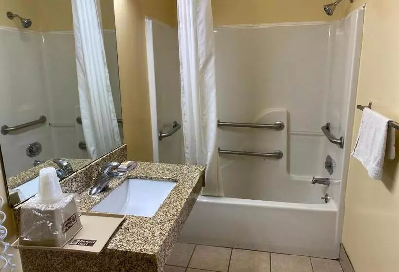 身障者適用スタンダードルーム, Budget Host Inn   Baxley