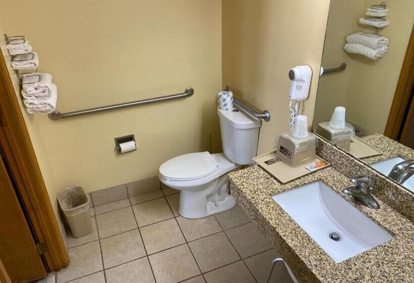 غرفة قياسية لذوى الاحتياجات الخاصة, Budget Host Inn   Baxley