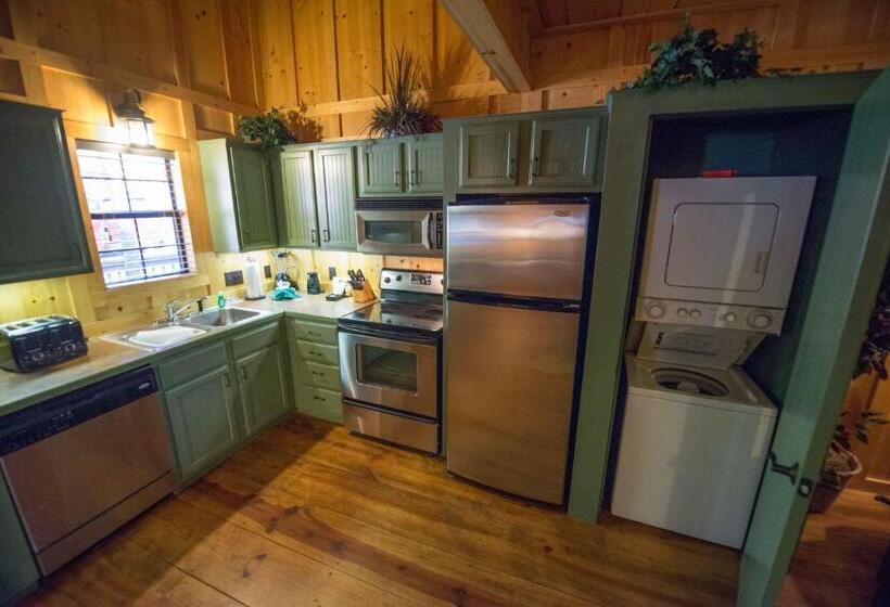 Апартаменты 3 Спальни, Cabins At Green Mountain, Trademark Collection By Wyndham