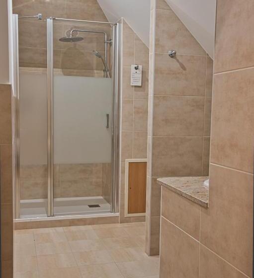 Habitación Estándar Abuhardillada, Chateau De La Rozelle