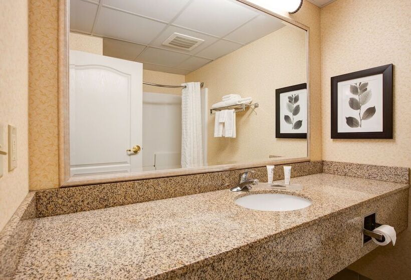 Люкс, Comfort Inn & Suites St. Paul Northeast