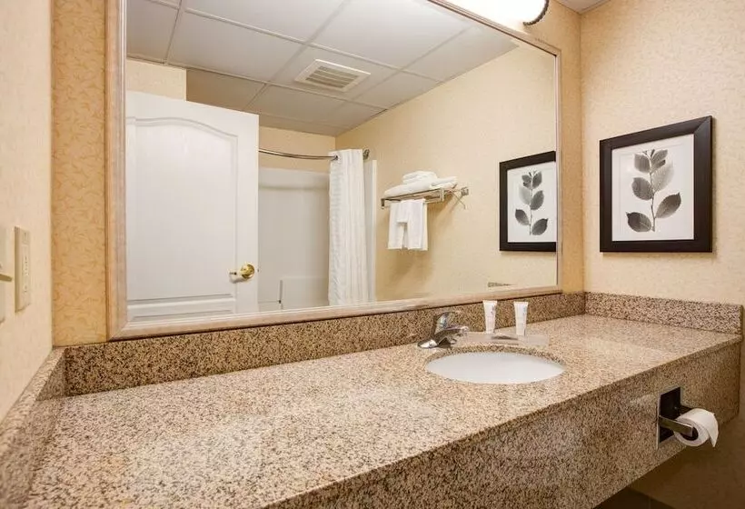 Sviitti, Comfort Inn & Suites St. Paul Northeast