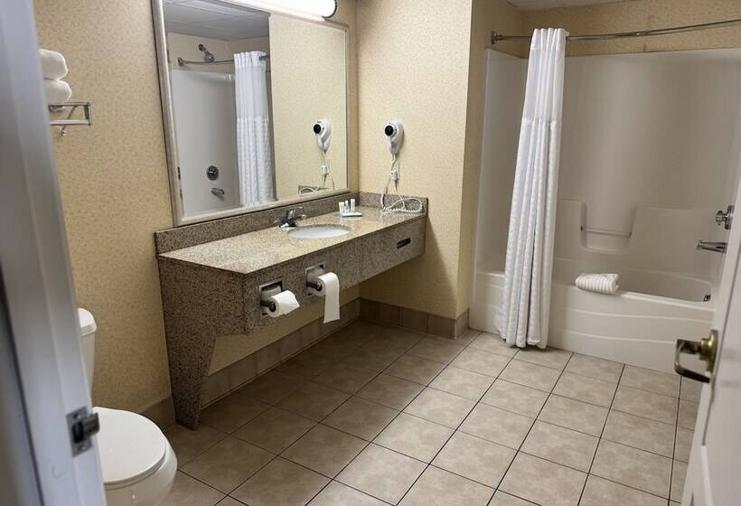 Люкс, Comfort Inn & Suites St. Paul Northeast