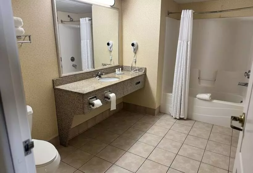 Sviitti, Comfort Inn & Suites St. Paul Northeast
