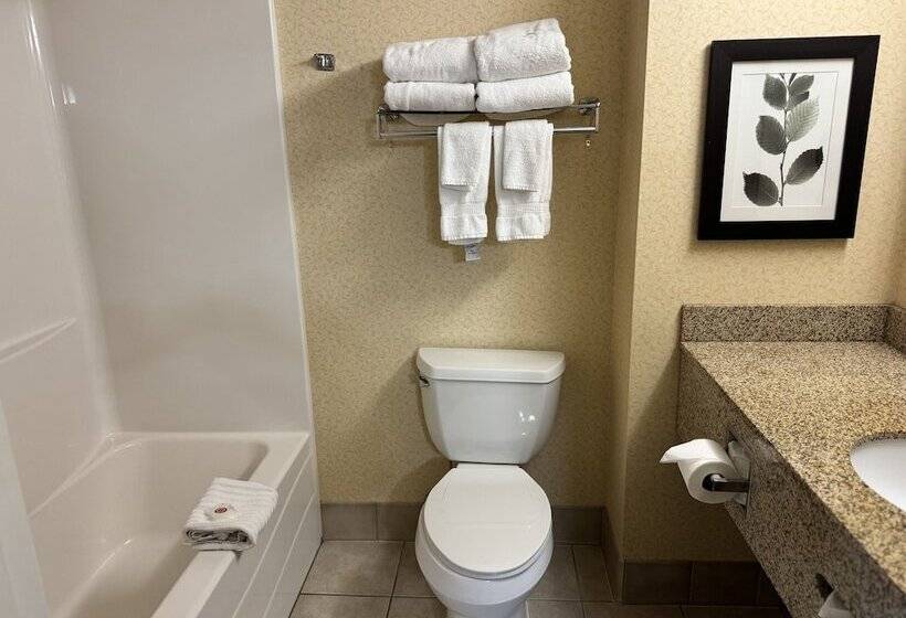 جناح, Comfort Inn & Suites St. Paul Northeast