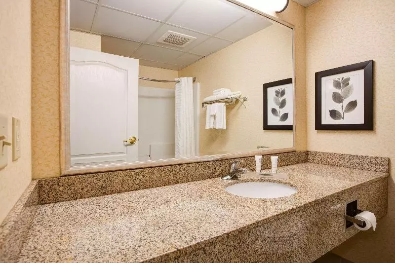 Standard-huone King-vuode, Comfort Inn & Suites St. Paul Northeast