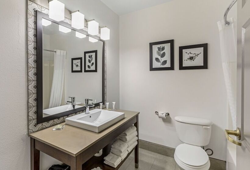 استودیوی استاندارد با تخت دوبل, Country Inn & Suites By Radisson Elk Grove Village Itasca