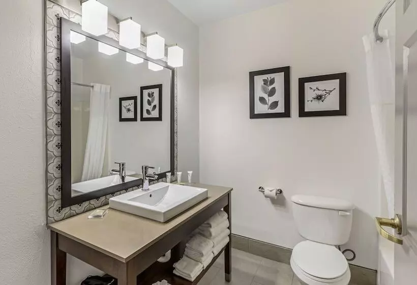 Sviitti, Country Inn & Suites By Radisson Elk Grove Village Itasca