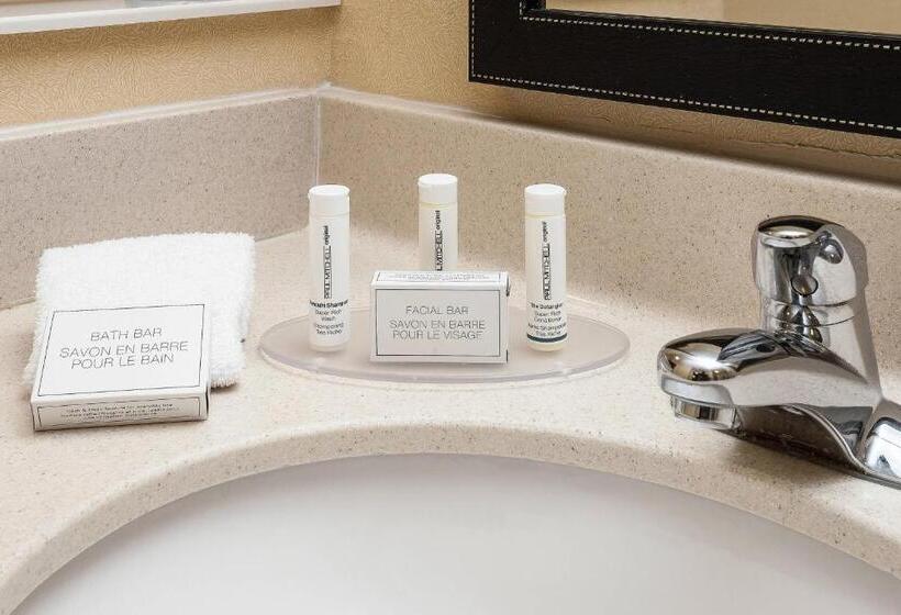 Standard Szoba King Size Bed, Fairfield Inn & Suites By Marriott Anchorage Midtown