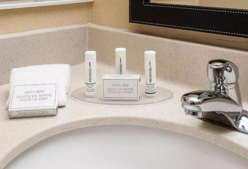身障者適用スタンダードルーム, Fairfield Inn & Suites By Marriott Anchorage Midtown