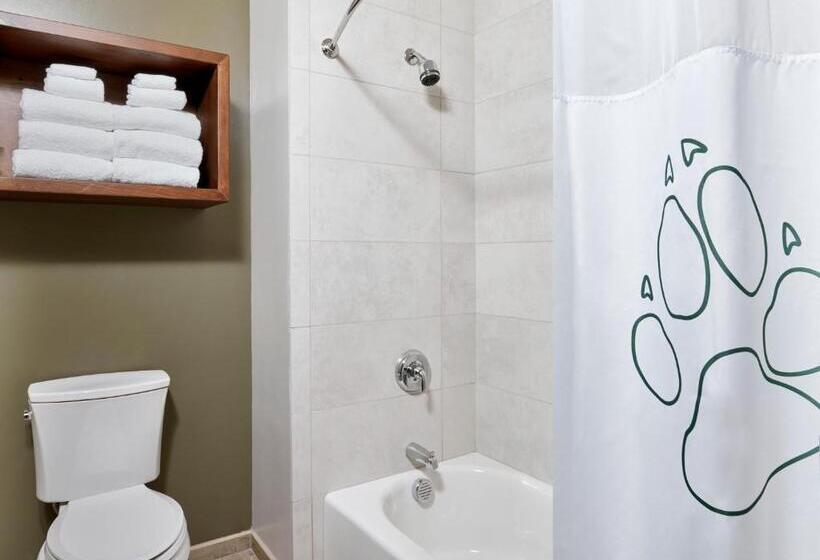 جناح عائلي, Great Wolf Lodge Kansas City