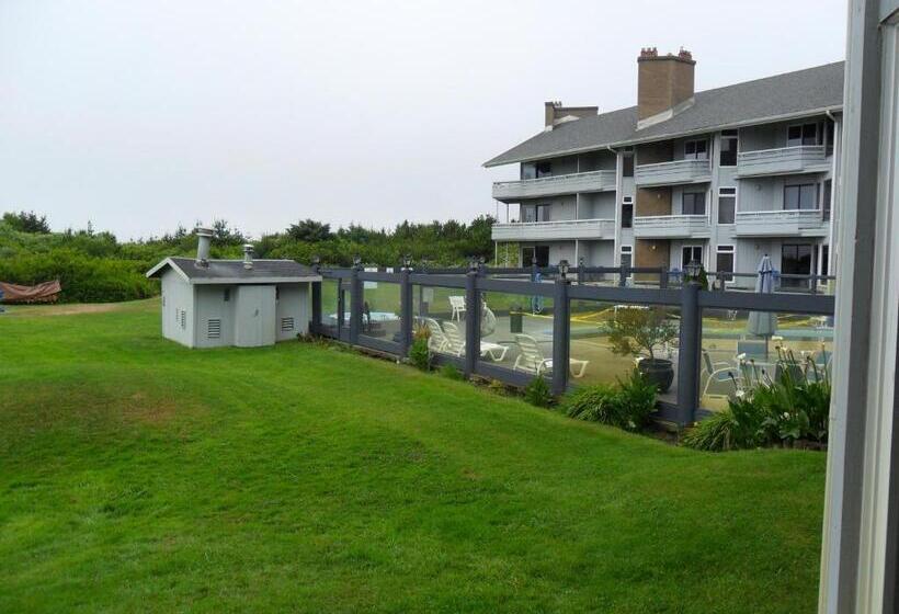 إستوديو قياسى, Grey Gull