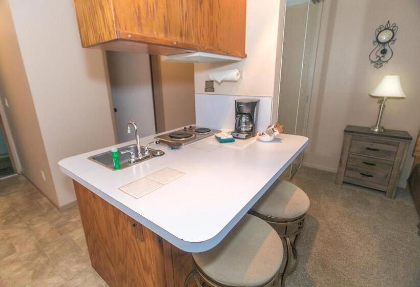 إستوديو قياسى, Grey Gull