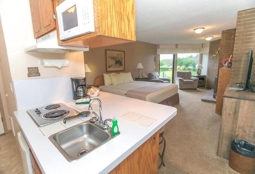 إستوديو قياسى, Grey Gull