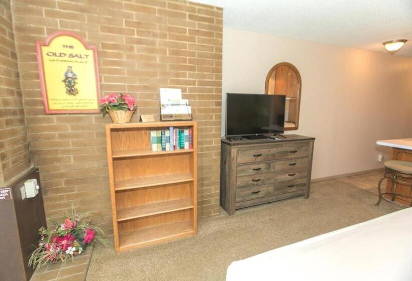 إستوديو قياسى, Grey Gull