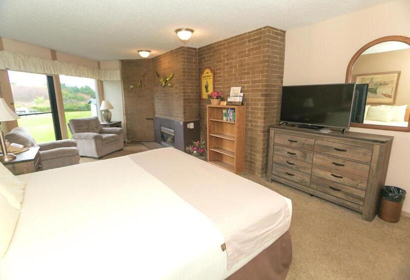 إستوديو قياسى, Grey Gull