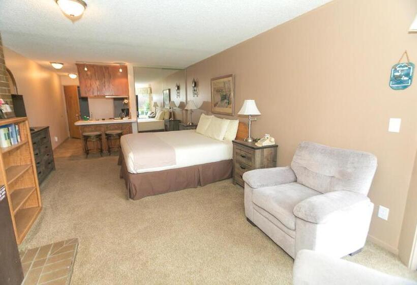 إستوديو قياسى, Grey Gull