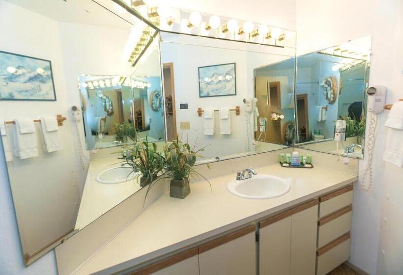 شقة غرفة واحدة مطلة على حمام السباحة, Grey Gull