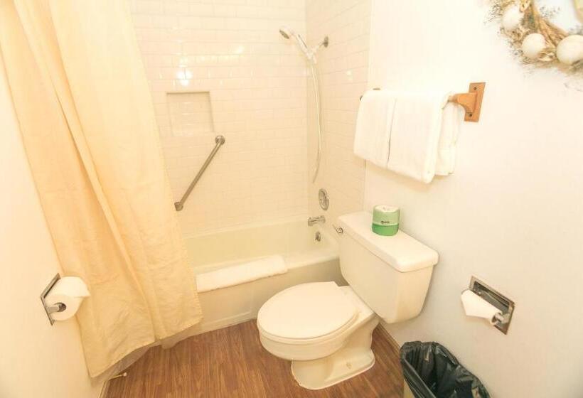 شقة غرفة واحدة مطلة على حمام السباحة, Grey Gull