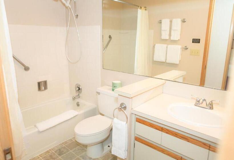 شقة غرفة واحدة, Grey Gull