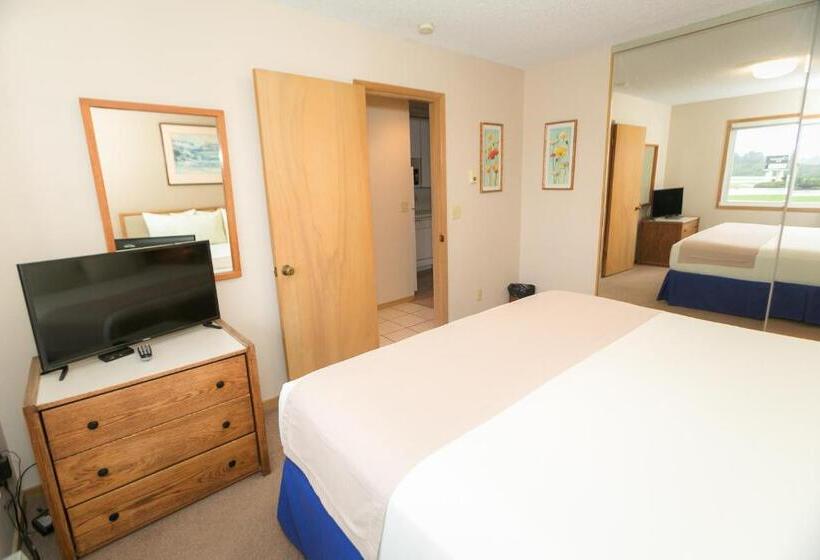 شقة غرفة واحدة, Grey Gull