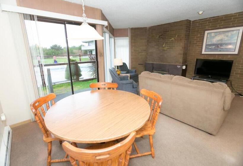 شقة غرفة واحدة, Grey Gull