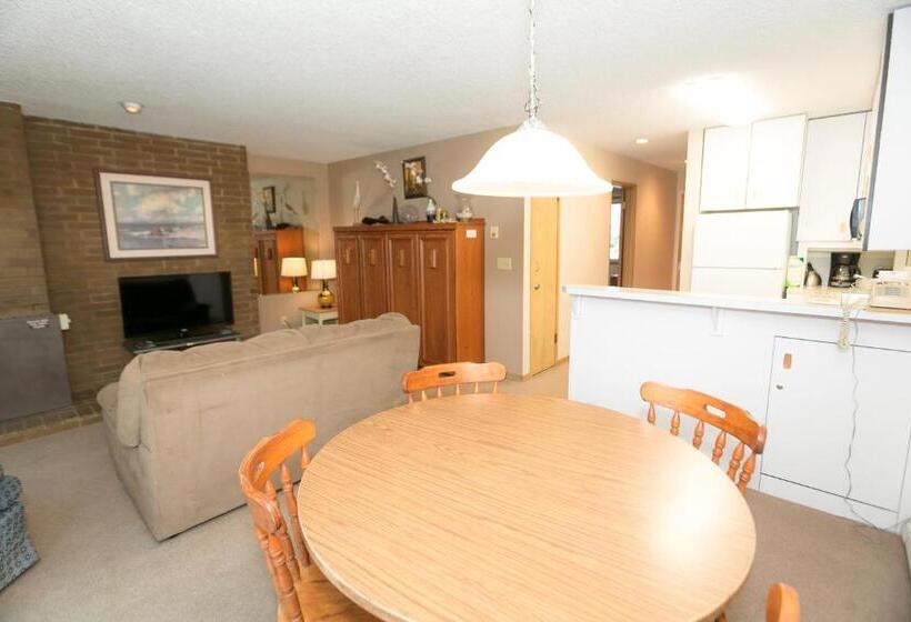 شقة غرفة واحدة, Grey Gull