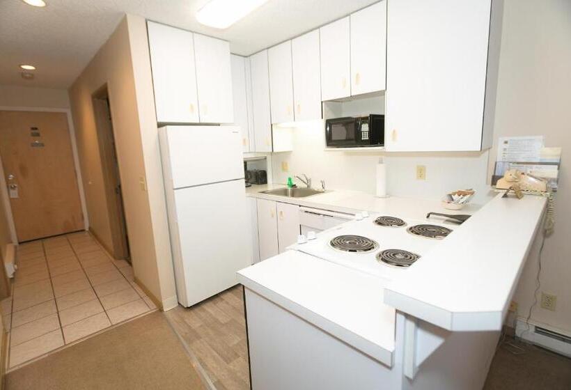 شقة غرفة واحدة, Grey Gull