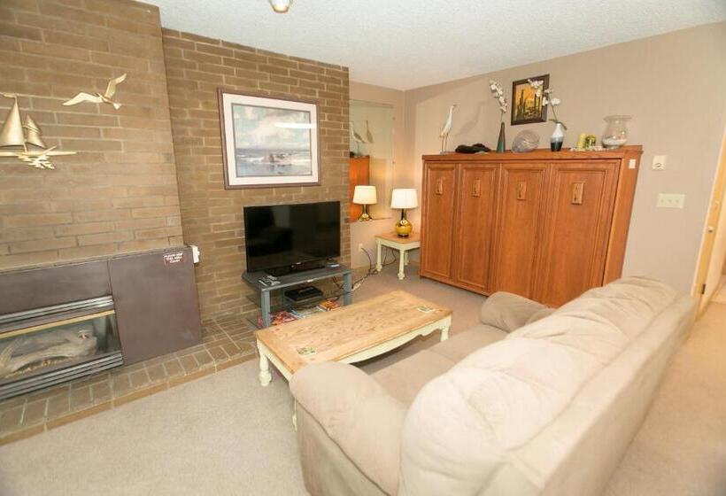 شقة غرفة واحدة, Grey Gull