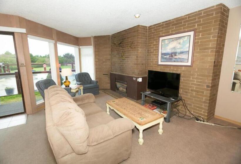 شقة غرفة واحدة, Grey Gull