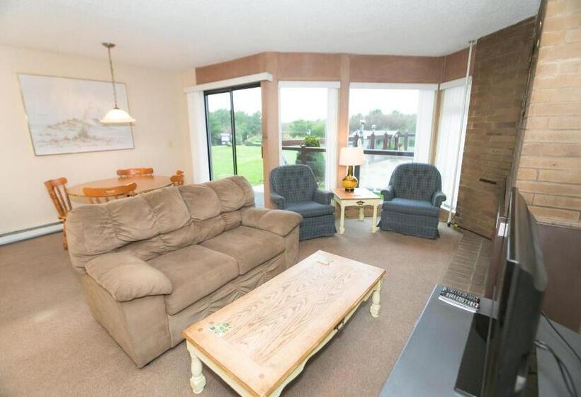 شقة غرفة واحدة, Grey Gull