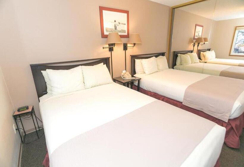 غرفه قياسيه سريرين مزدوجين, Grey Gull