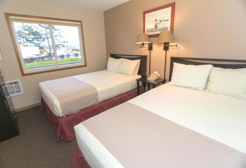 غرفه قياسيه سريرين مزدوجين, Grey Gull